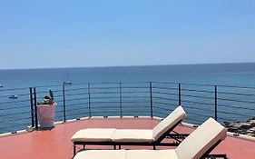 Palace Blu Mare